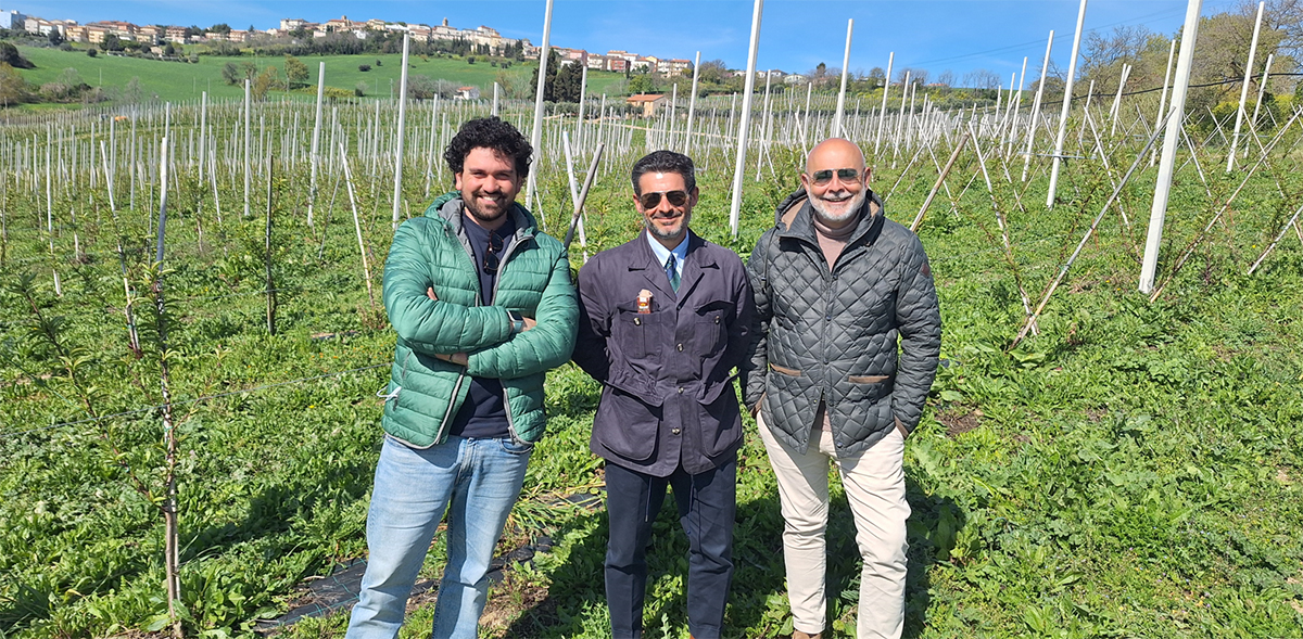 Da sinistra a destra: Dott. Samuele Crescenzi, Variety selection - Marco Eleuteri, AD Op Armonia - Umberto Santoni, Tecnico agronomo di fiducia az. agricola Eleuteri
